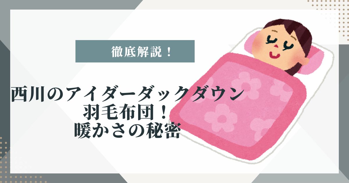 アイダーダックダウン 羽毛布団 西川
